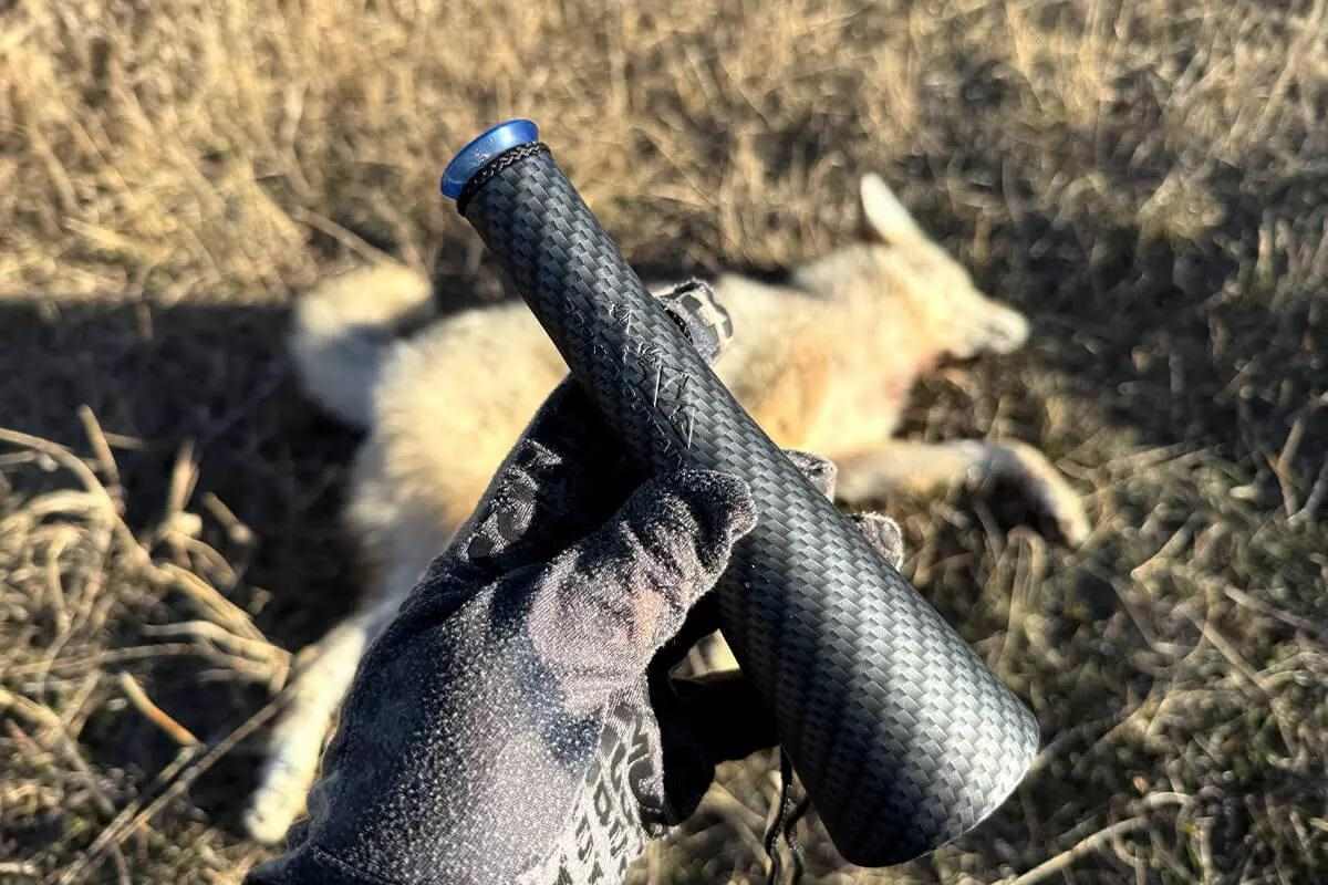 coyote call
