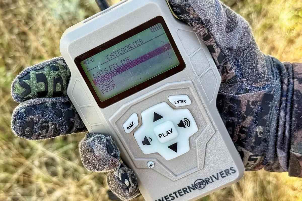 electronic remote
