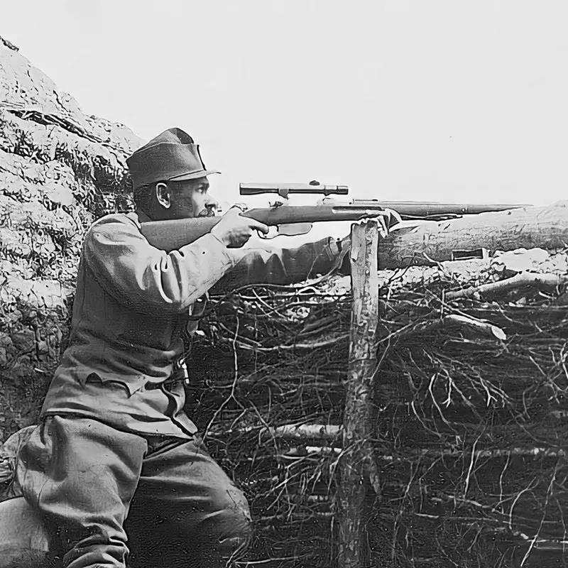 The Austrian Sniper's Edge: The Mannlicher M1895 in the Grea
