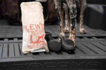 A dog stands on a tailgate next to a bag of dog boots.