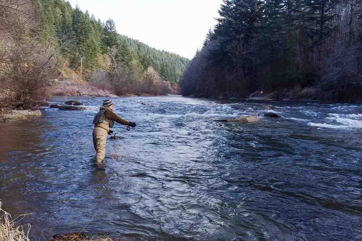www.gameandfishmag.com