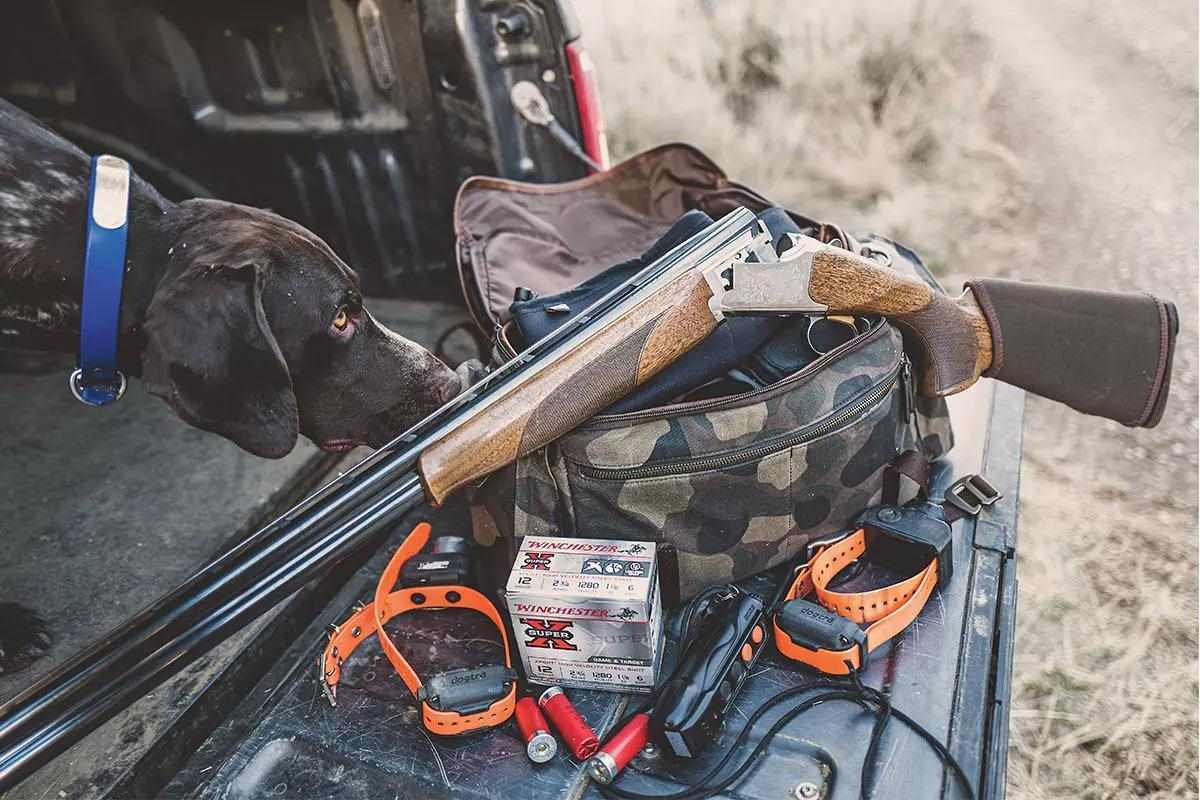 A shotgun rests on a gear bag with a box of shells and dog collars all around.