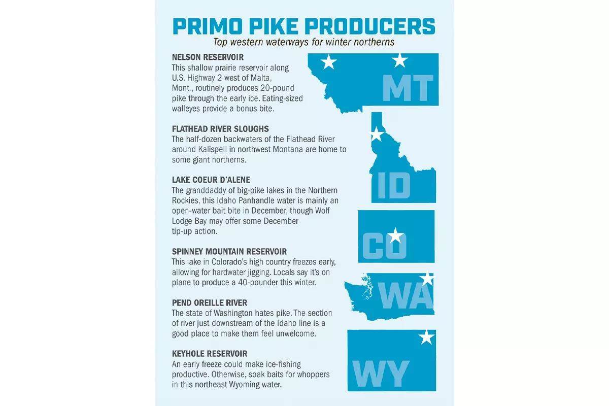 A sidebar illustration for Western pike fishing.