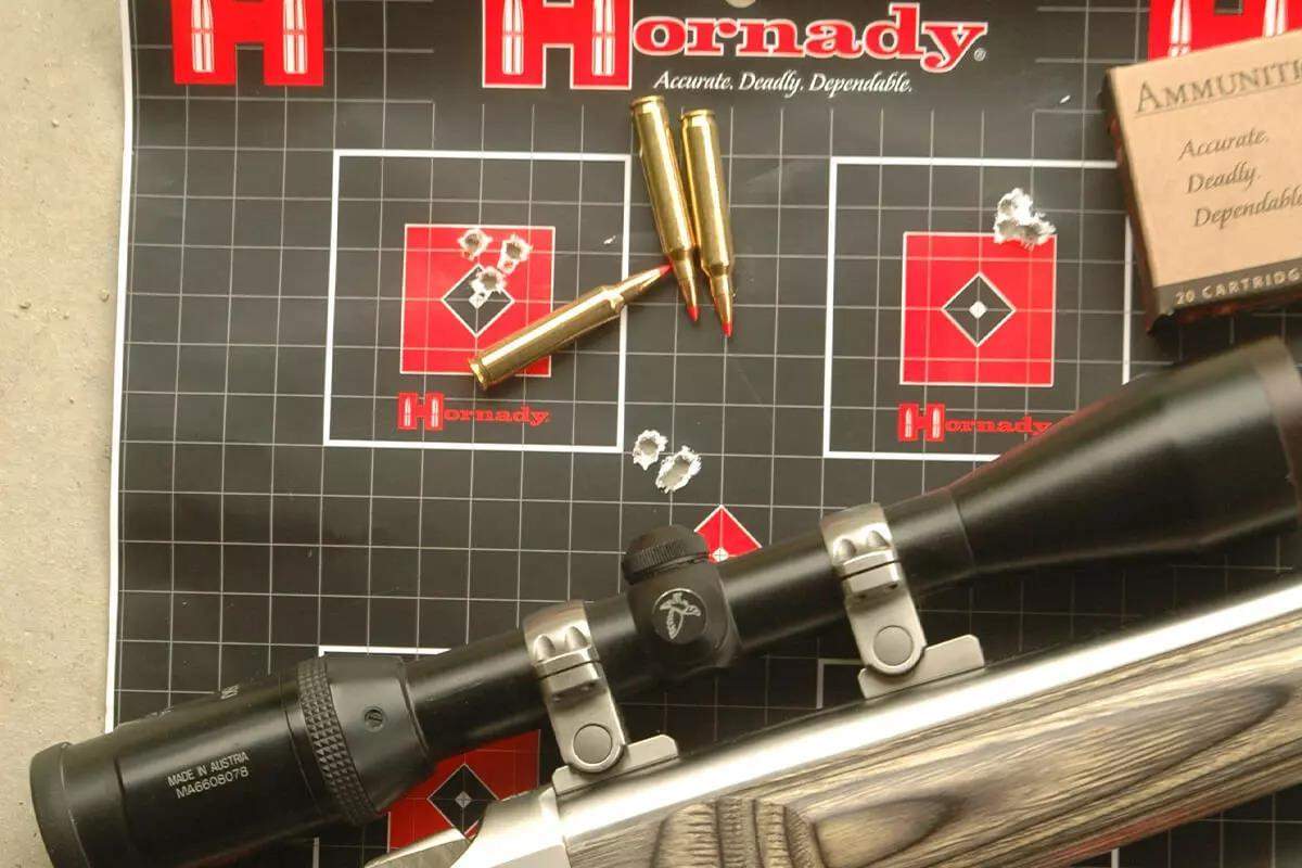 The Best Varmint Hunting Cartridges for the Average Joe - Petersen's ...