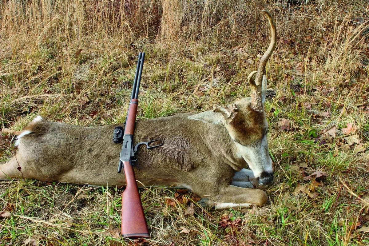 Do Deer Hunters Really Need to Be Concerned About Cowhorn Spikes?