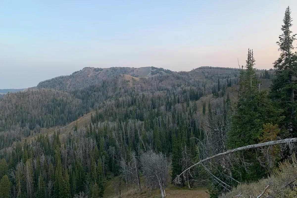 A scenic view of mountains with trees in Wyoming. 