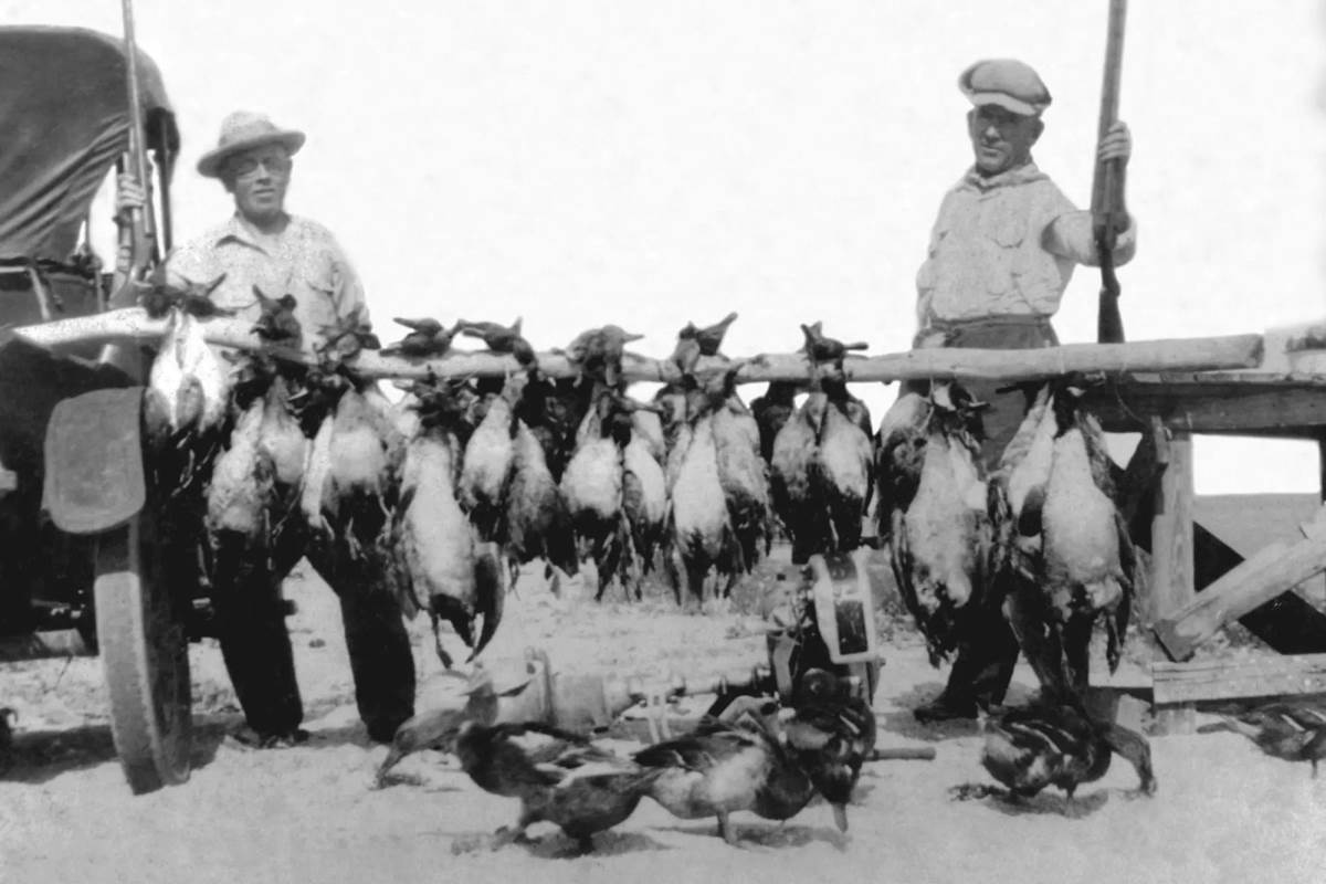 Tolling ducks after a hunt with an outboard motor. Photo courtesy of Dean Johnstone