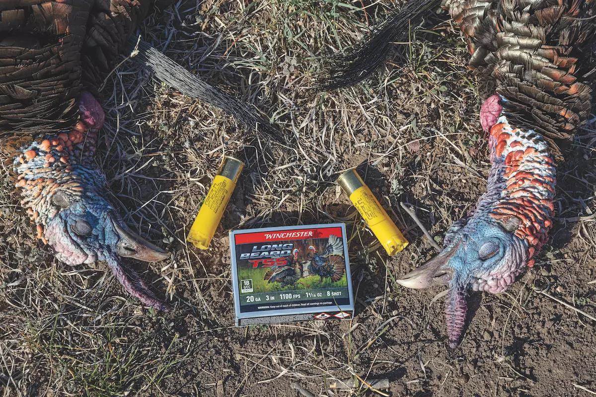 The Exciting Journey to a Hunter's Turkey Triple Triumph - Game & Fish