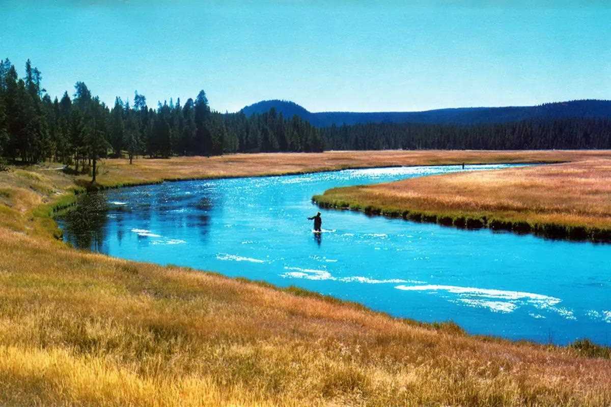 Fly Fisherman Throwback: The Firehole in the Fall