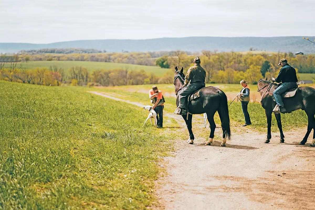 Two handlers on horseback wast for two people on foot to release their dogs and start the field trial.