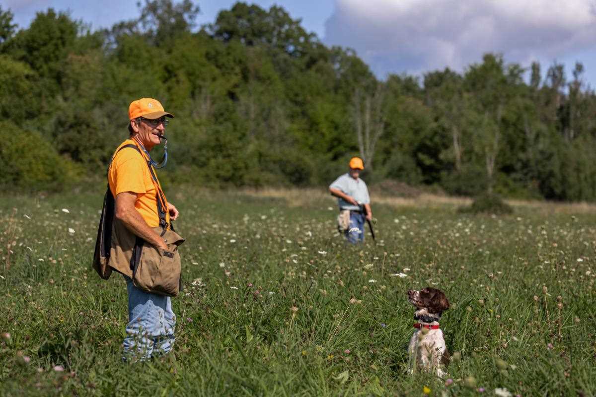 Bird hunters in a field with a flushing dog