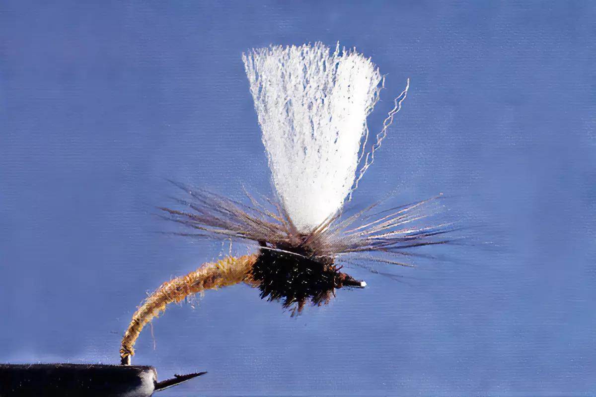 A Klinkhamer Special in a vise. 