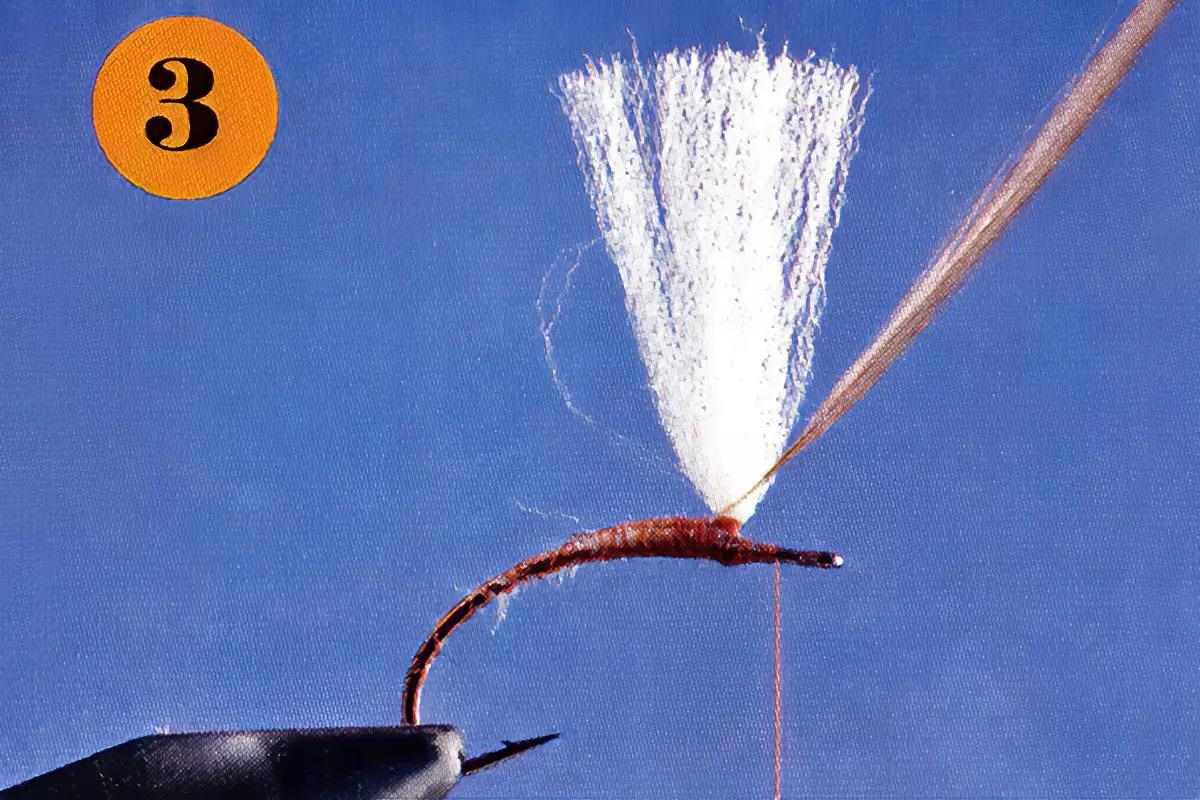 A fly-tying step for the Klinkhamer Special.