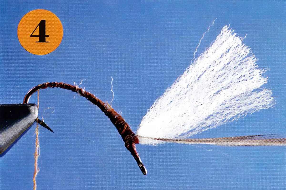 A fly-tying step for the Klinkhamer Special.