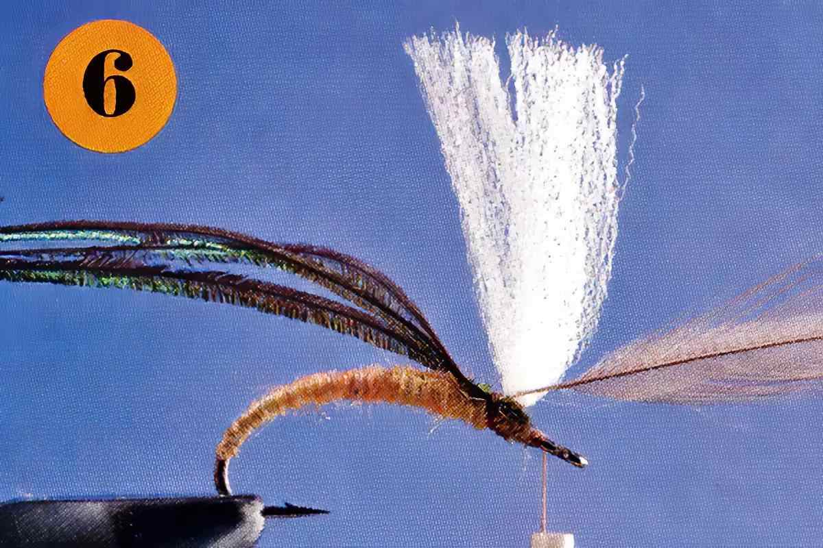 A fly-tying step for the Klinkhamer Special.