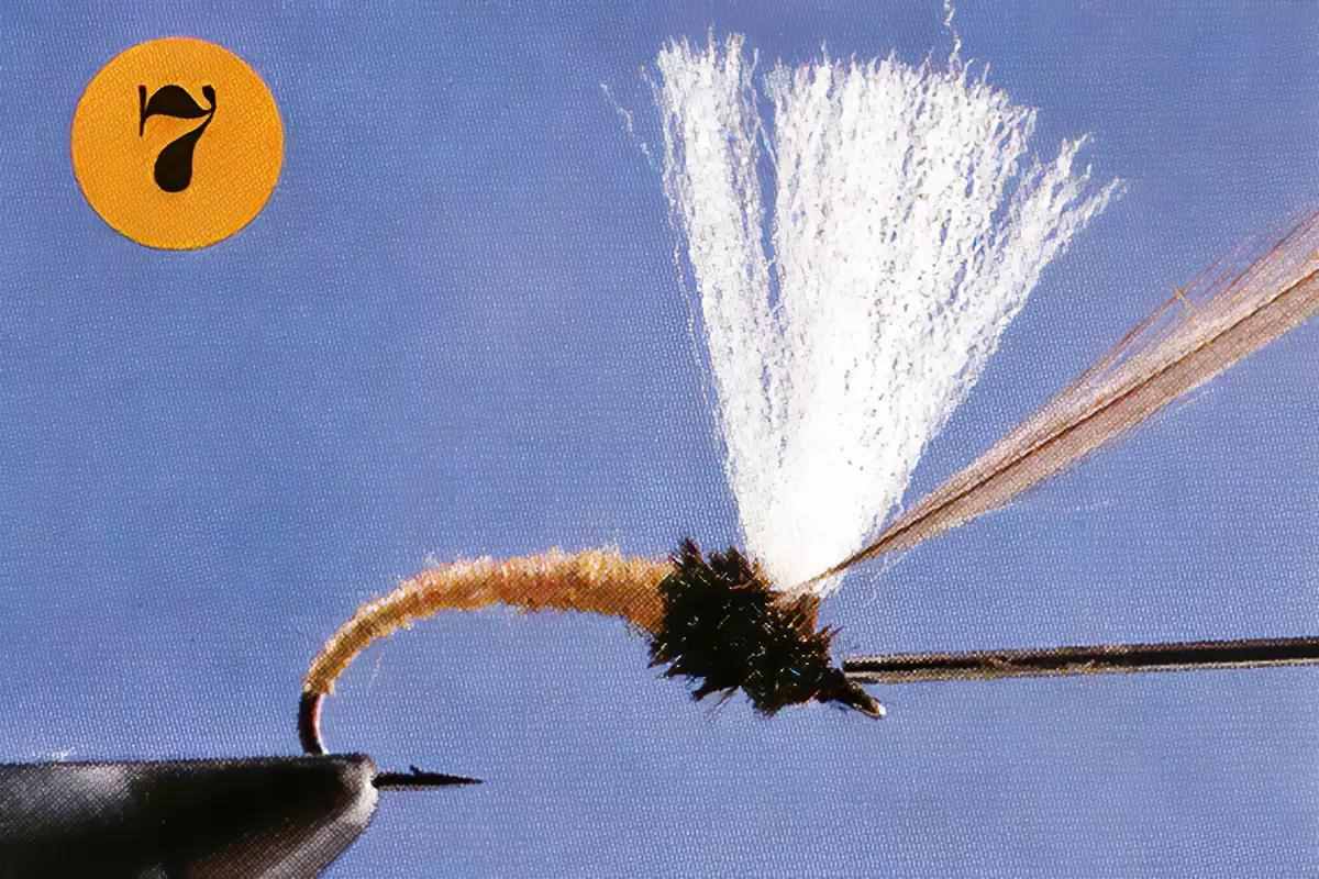 A fly-tying step for the Klinkhamer Special.