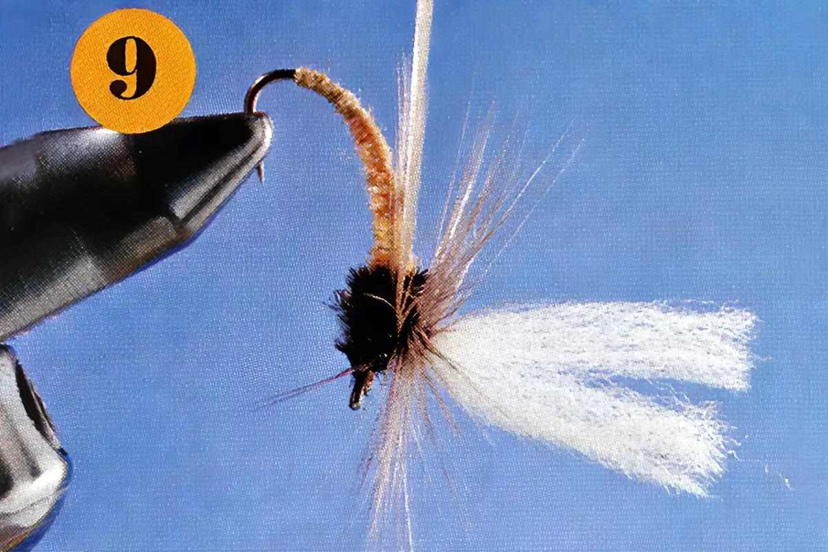 A fly-tying step for the Klinkhamer Special.