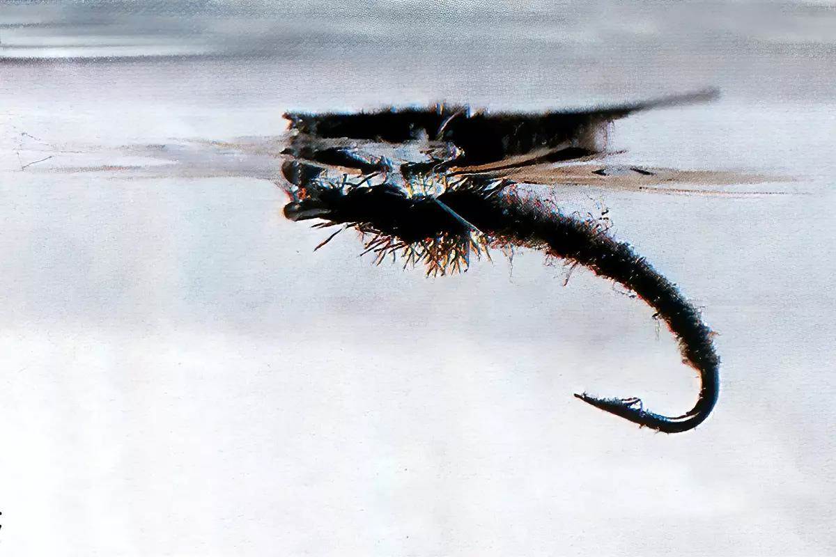 Underwater photo of a Klinkhamer Special hanging below the surface of the water.