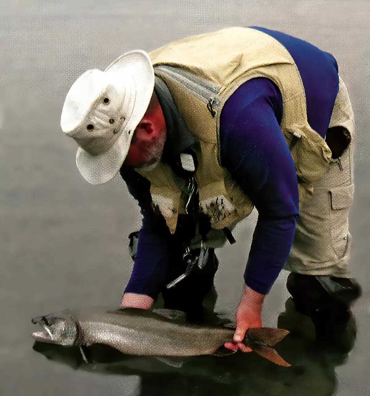 A fly angler bending over, holding a lake trout above the water's surface.