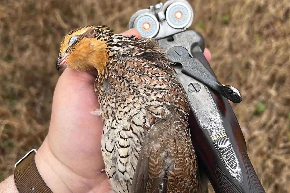 The Market for Vintage Double Shotguns Just Got Better