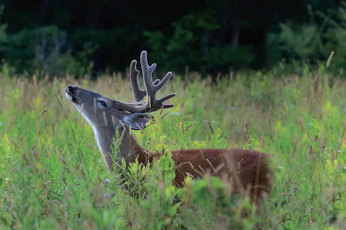 The Summer Surge: Use Warm-Weather Intel for Fall Success