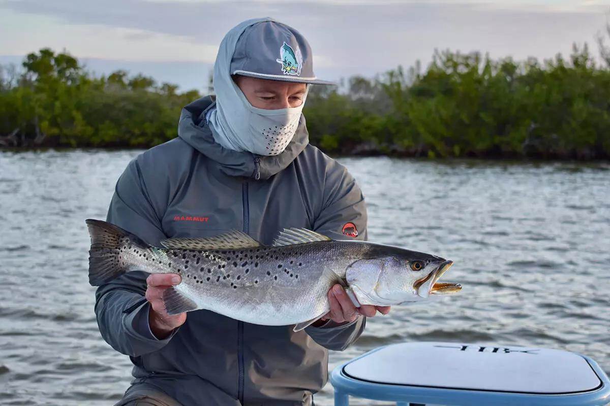 Three Best Seatrout Fishing Spots in Florida: Where To Fish