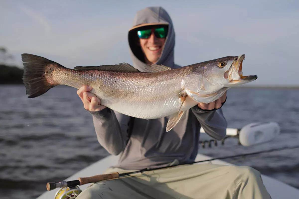 Three Best Seatrout Fishing Spots in Florida: Where To Fish