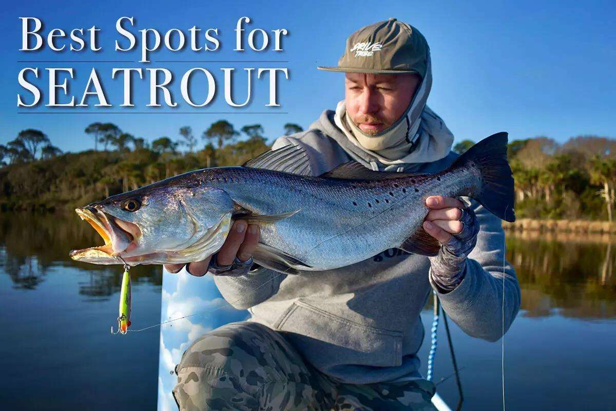 Three Best Seatrout Fishing Spots in Florida: Where To Fish For Spotted Seatrout & How To Find Them