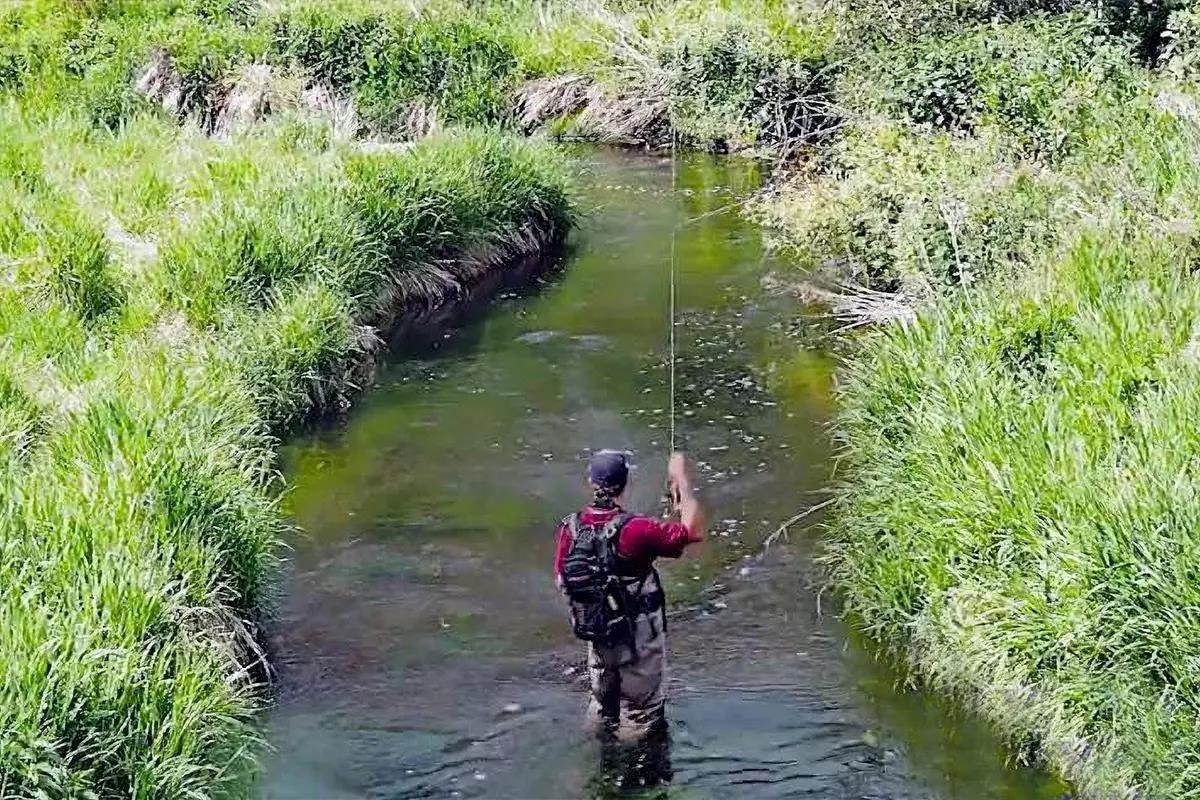 Video Rewind: Three Year Trout - Fly Fisherman