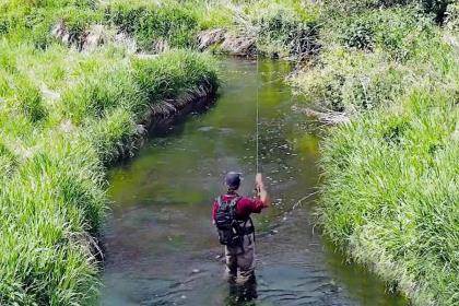 How To Fly Fish For Beginners: A Step-by-Step Guide - The Fly Crate