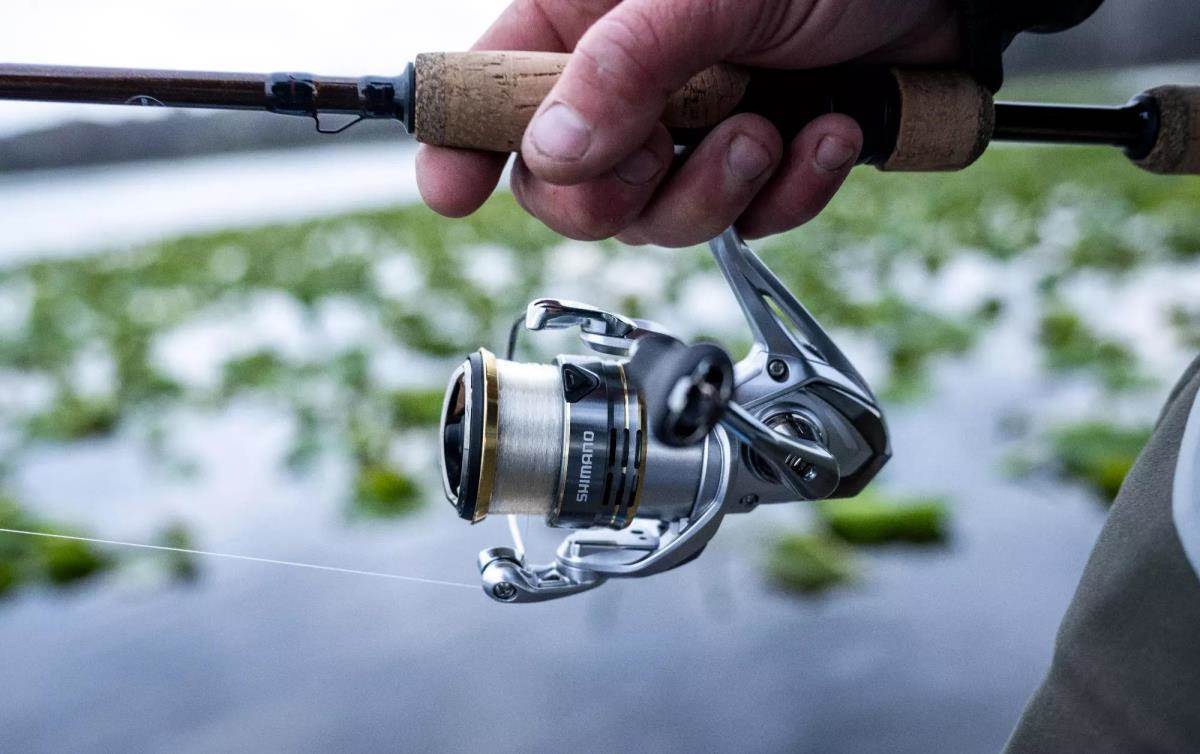 Top 3 New Features on the Shimano Sedona FJ Spinning Reel - In-Fisherman