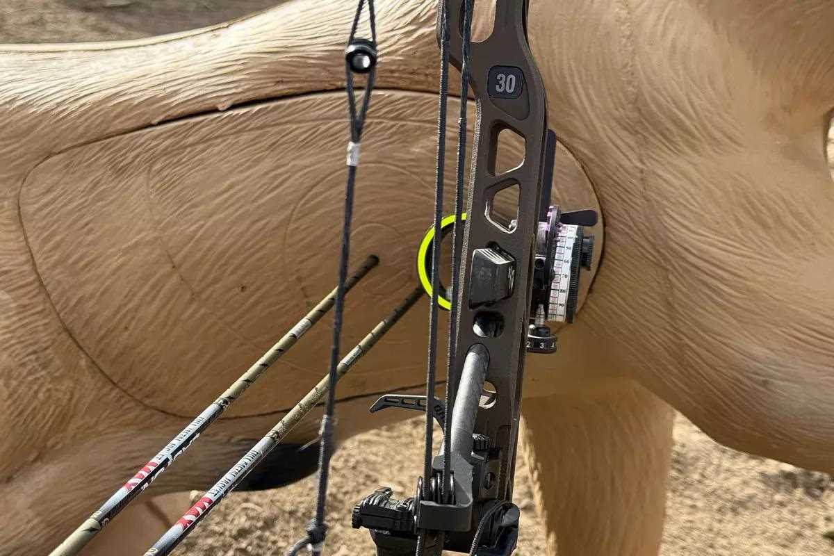 Target with arrows and bow