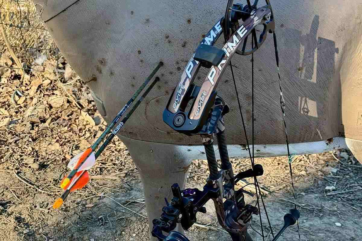 Arrows in target with bow