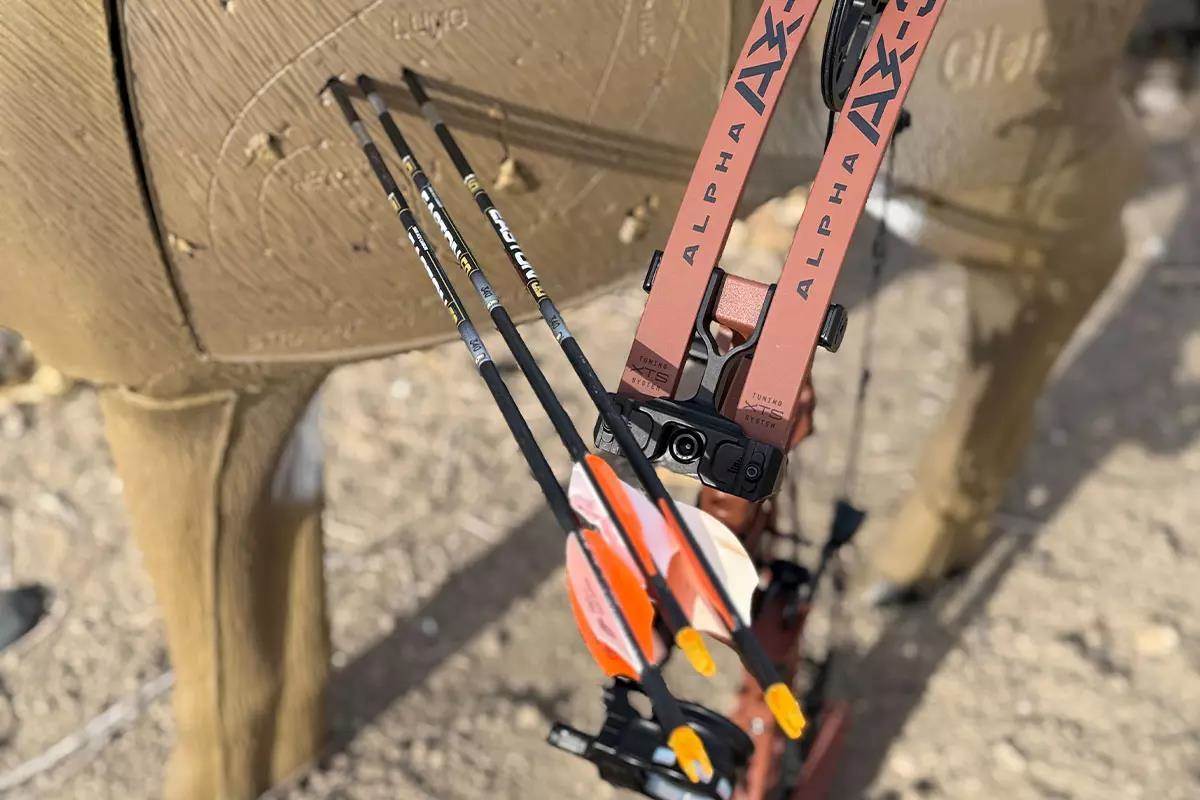 Hoyt bow with group