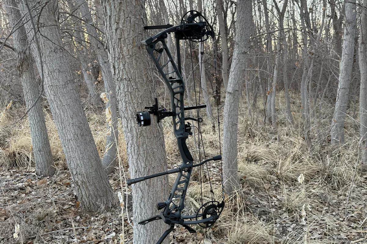 Xpedition NexLite 33