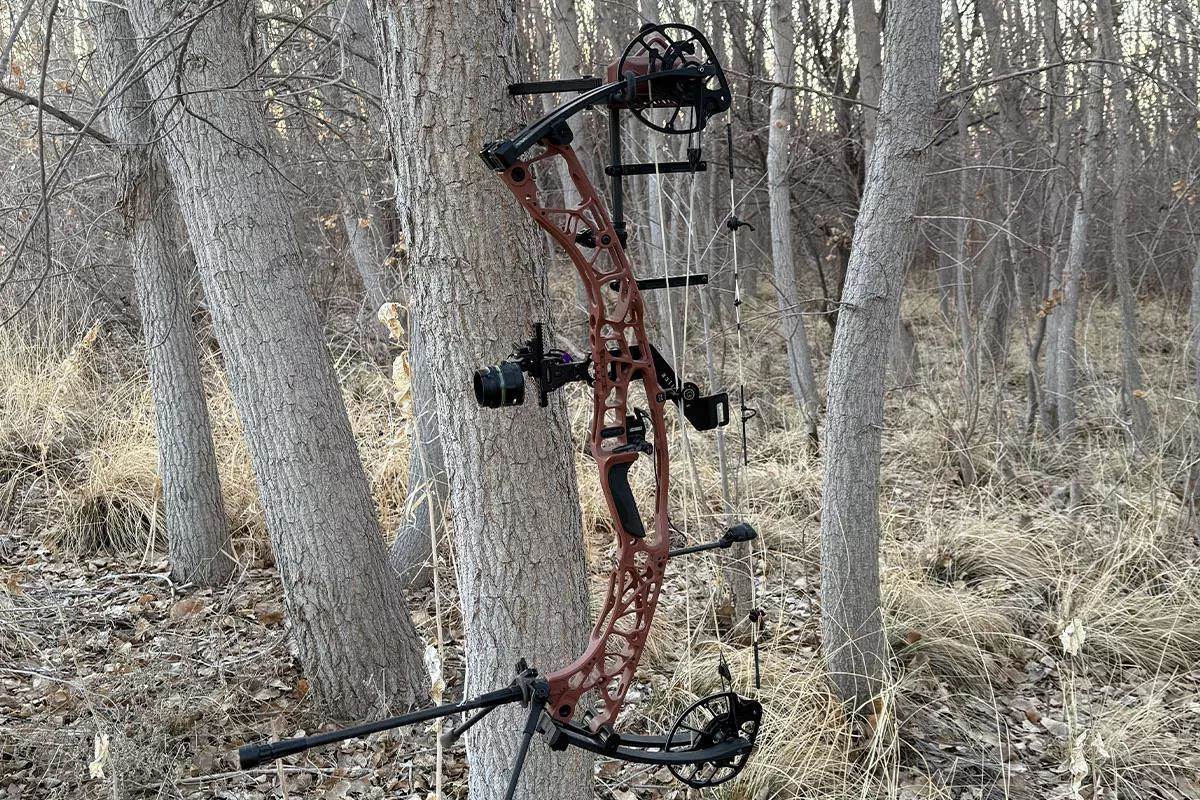 Hoyt Alpha AX-3