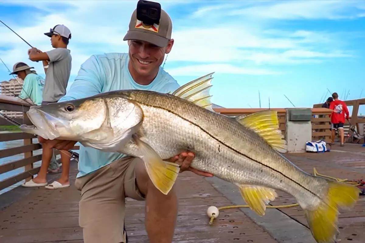 10 Best Snook Lures Right Now: Catch More Snook with These Artificial Baits  