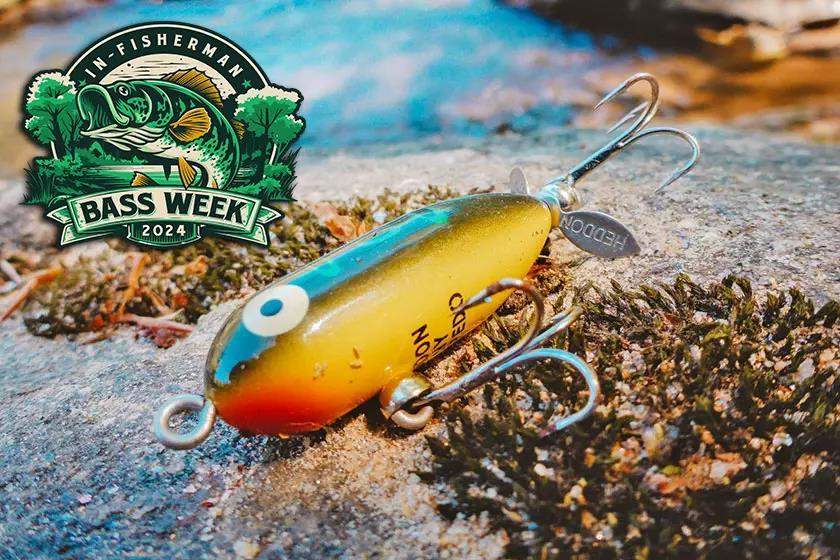 10 Best Carp Baits Available Today - In-Fisherman