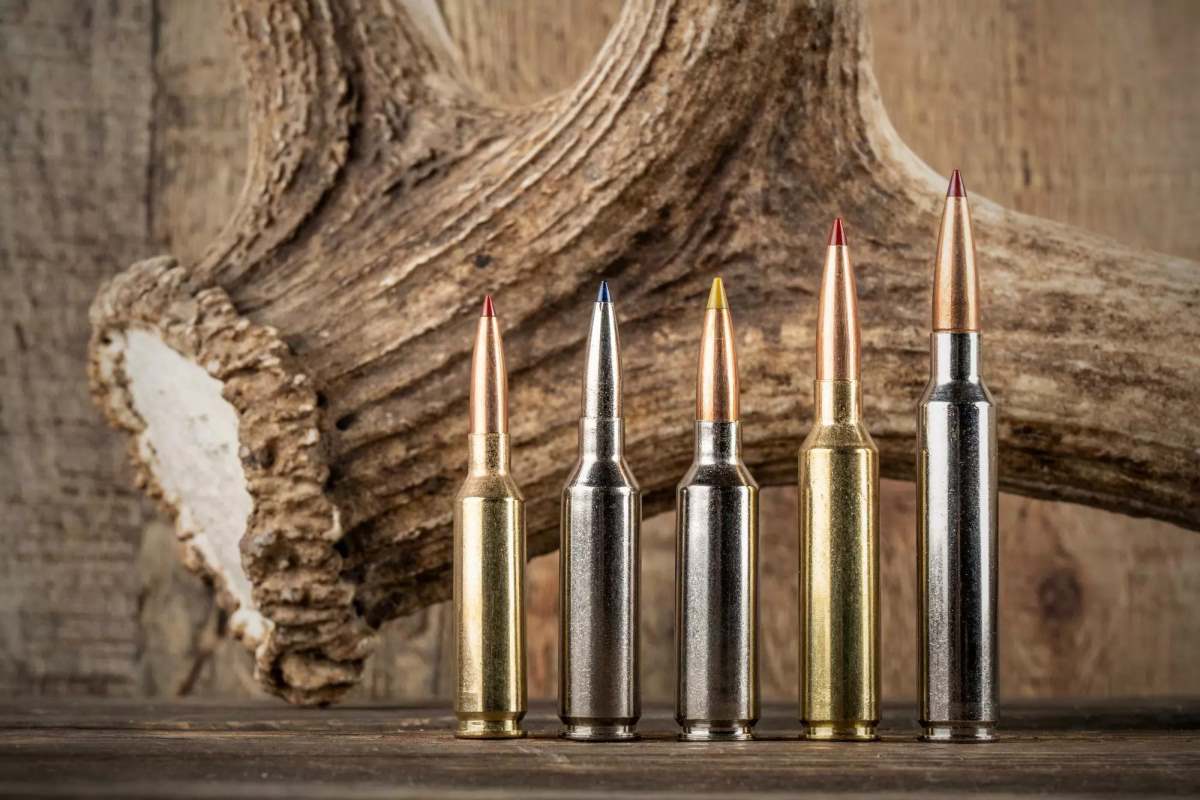 Top Five Modern Hunting Cartridges