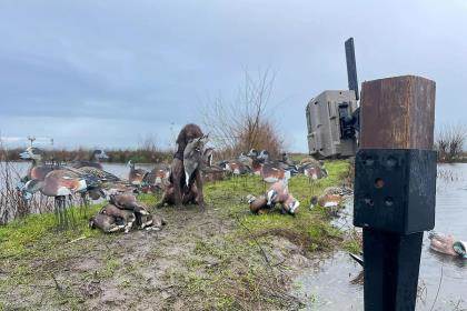 The Duck And Goose Hunter's Ultimate Resource - American Waterfowler L.L.C.