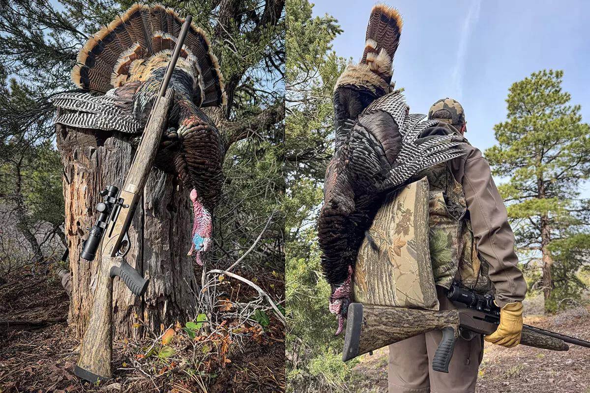 Tristar Viper G2 Turkey Shotgun: Reviewed and Approved - Petersen's Hunting