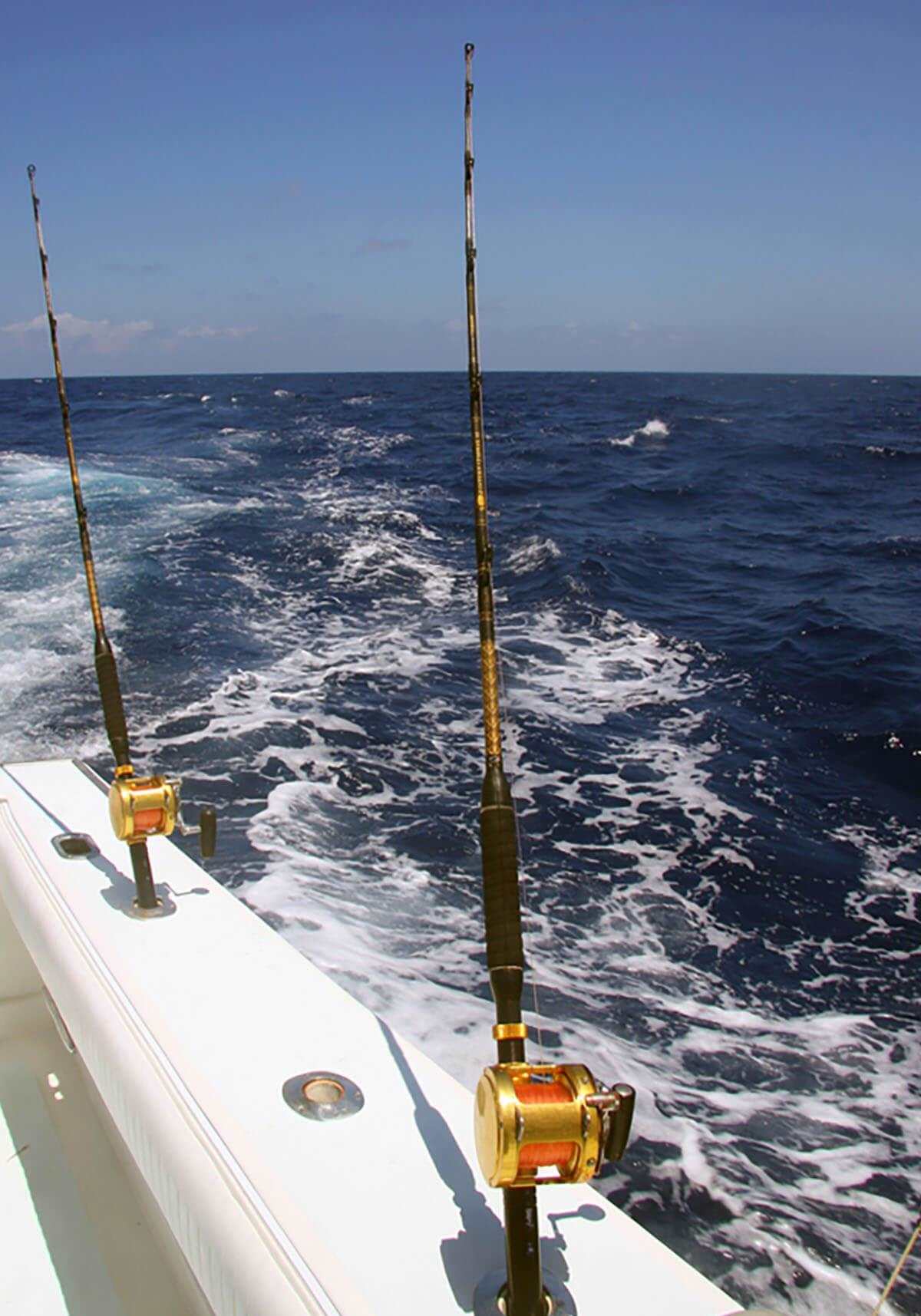 What Is Trolling Fishing? 5 Things To Know Before You Try It