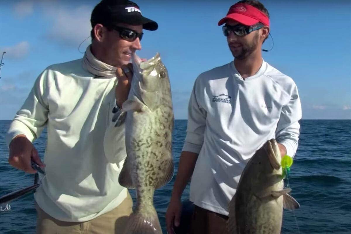 Saltwater Live Bait - Saltwater Fishing Basics - Fishmaster Blog