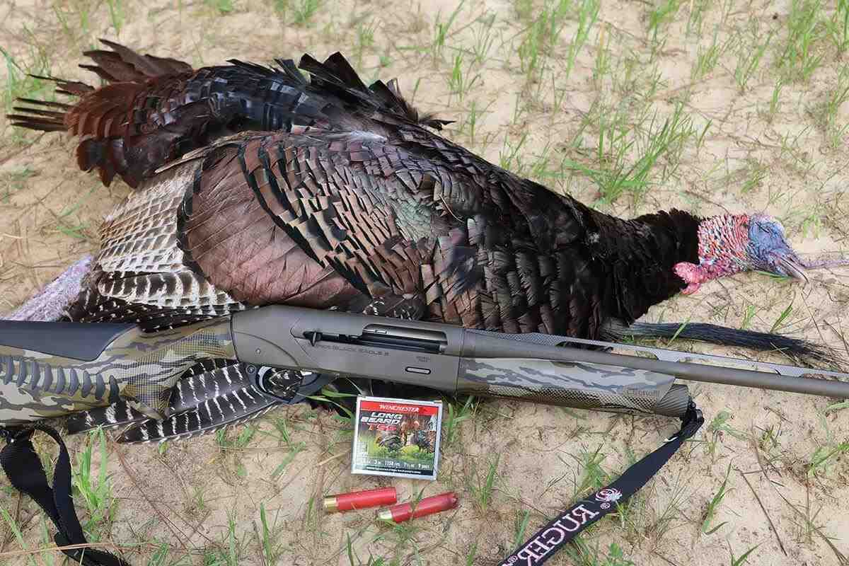 TSS Guarantees Impact to the Turkey Hunting Game - Petersen's Hunting