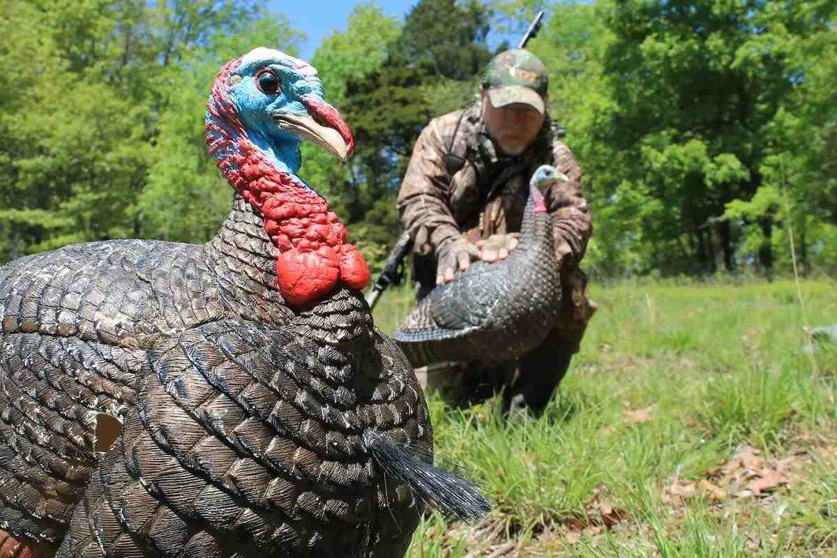 15 Advanced Turkey Hunting Questions and Answers