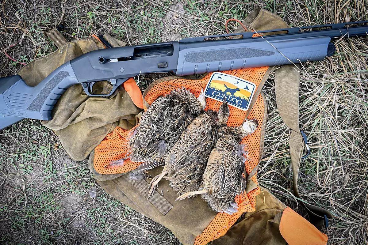 Three perdiz and a reengage shotgun laying on an orange gun dog hunting vest.