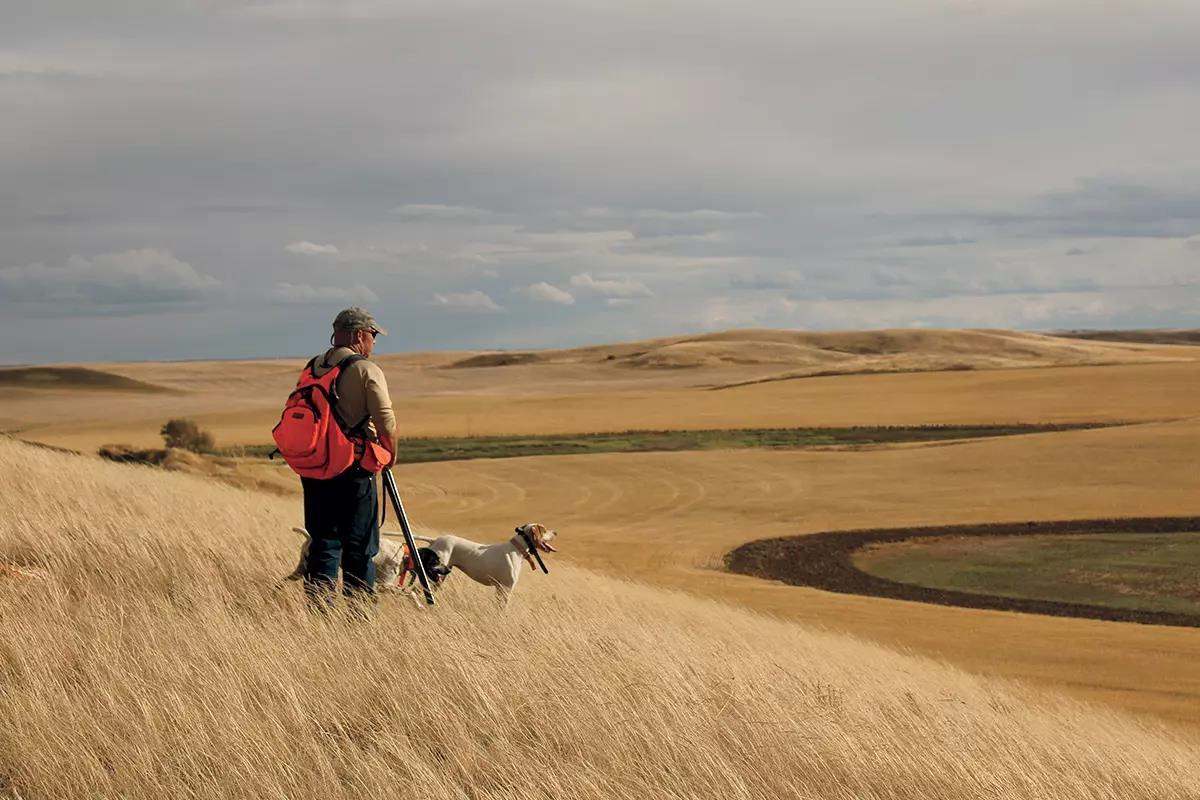 Upland Hunting on The Western Prairie