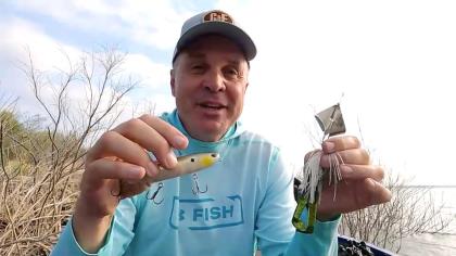 Bass Crash Course: Topwater Pointers for Buzzbaits, Walking Baits