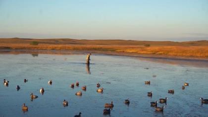 Adding honker floaters in your duck decoy spread can greatly add to your success.