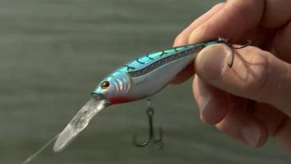 The Berkley Scented Flicker Shad REALLY STINKS - In-Fisherman